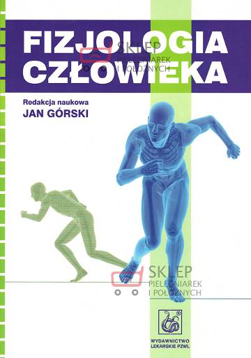 Small_fizjologia-czlowieka